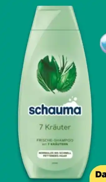 NETTO Schwarzkopf Schauma Shampoo Angebot