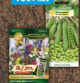 NETTO Gartenland Aschersleben Sämereien Angebot