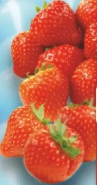 Edeka Pura Erdbeeren Angebot