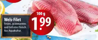 Famila Nord Ost Wels-Filet Angebot