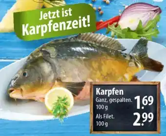 Famila Nord Ost Karpfen Angebot