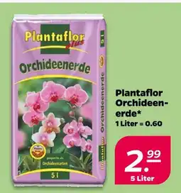 NETTO Plantaflor orchidenerde Angebot