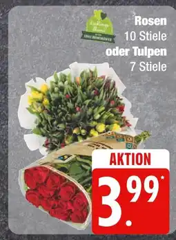 Edeka Rosen oder tulpen Angebot