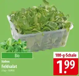 Famila Nord Ost Italien Feldsalat Angebot