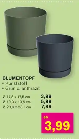 KODi BLUMENTOPF Angebot