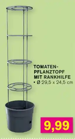 KODi TOMATEN- PFLANZTOPF Angebot