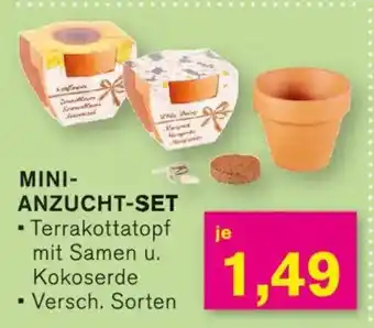 KODi MINI- ANZUCHT-SET Angebot