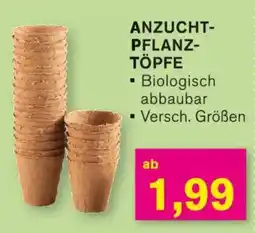 KODi ANZUCHTPFLANZTÖPFE Angebot