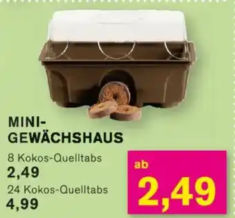 KODi MINI- GEWÄCHSHAUS Angebot