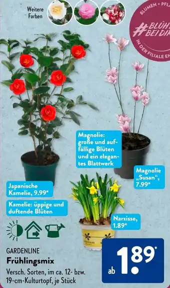 Aldi Süd GARDENLINE Frühlingsmix Angebot