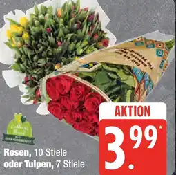 Marktkauf Rosen, 10 Stiele oder Tulpen Angebot