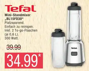 Marktkauf Tefal Mini-Standmixer ,,BL15FD30" Angebot