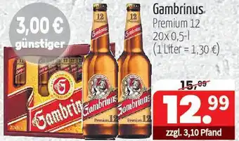 Getränke Quelle Gambrinus Gambrinus. Premium Angebot