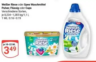 Globus Weißer Riese oder Spee Waschmittel Pulver, Flüssig oder Caps Angebot