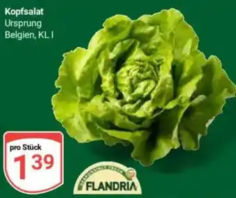 Globus Kopfsalat Angebot