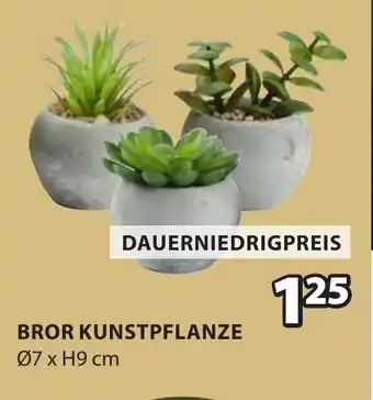 Jysk Bror kunstpflanze Angebot