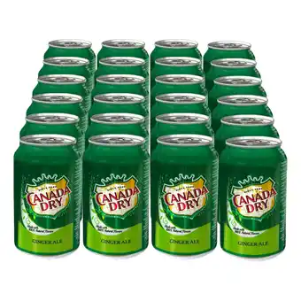 Netto Marken-Discount Canada Dry Ginger Ale 0,33 Liter Dose, 24er Pack Angebot