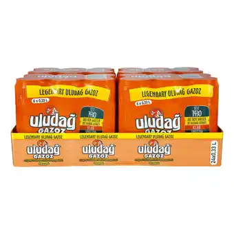 Netto Marken-Discount Uludag Gazoz Orange 0,33 Liter Dose, 24er Pack Angebot