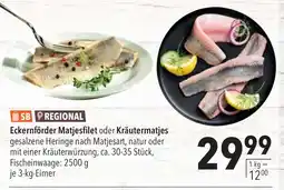 CITTI Markt Eckernförder Matjesfilet oder Kräutermatjes Angebot