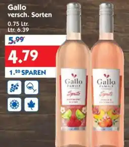 Hol'ab Getränkemarkt Gallo Angebot