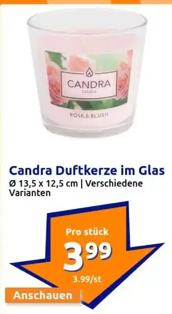 Action CANDRA CANDLE Duftkerze im Glas Angebot