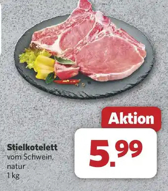 Combi Stielkotelett Angebot