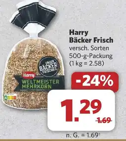 Combi Harry Bäcker Frisch Angebot