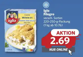 Combi Iglo Filegro Angebot