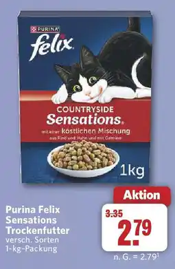 Combi Purina Felix Sensations Trockenfutter Angebot