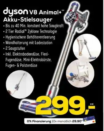 Euronics Dyson V8 Animal+Akku Stielsauger Angebot