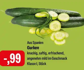 Feneberg Gurken Angebot