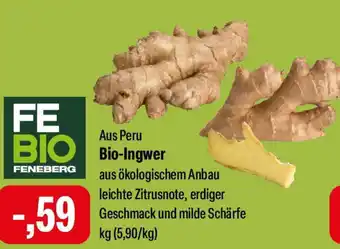 Feneberg FEBIO Bio-Ingwer Angebot