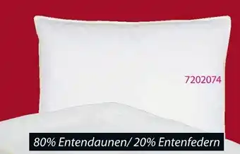 Jysk Otto Keller Kissen Angebot