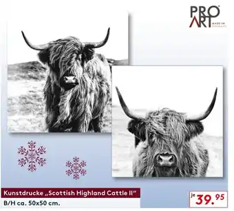 Möbel Rieger Kunstdrucke Scottish Highland Cattle II Angebot