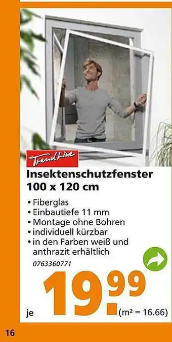 Globus Baumarkt Trendline Insektenschutzfenster Angebot