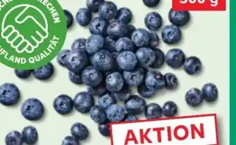 Kaufland Kulturheidelbeeren Angebot