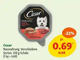 Fressnapf Cesar nassnahrung Angebot