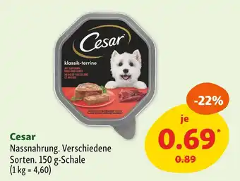 Fressnapf Cesar nassnahrung Angebot