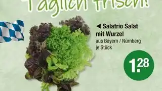 V Markt Salatrio salat mit wurzel Angebot