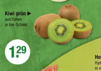 V Markt Kiwi grün Angebot