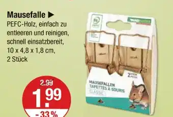 V Markt Mausefalle Angebot