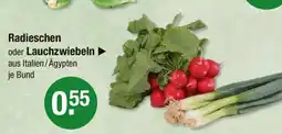 V Markt Radieschen oder lauchzwiebeln Angebot