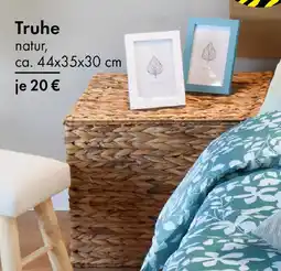 TEDi Truhe natur Angebot