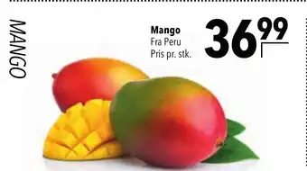 CITTI Markt Mango Angebot