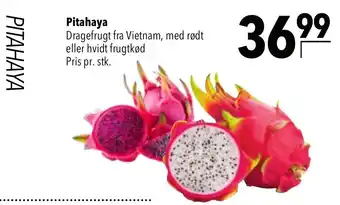 CITTI Markt Pitahaya Angebot