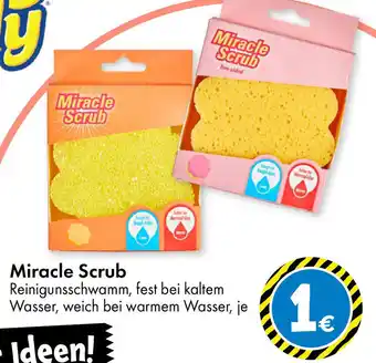 TEDi Miracle Scrub Reinigunsschwamm Angebot