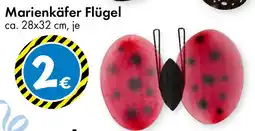 TEDi Marienkäfer Flügel Angebot