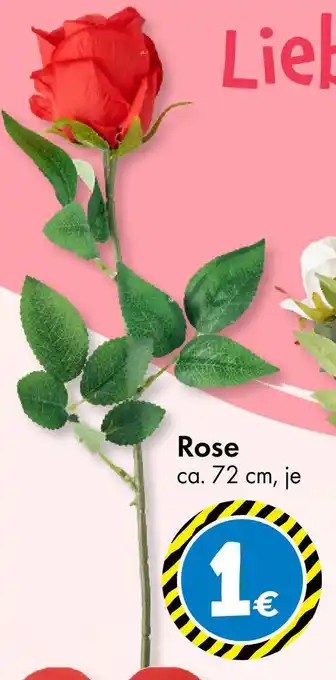 TEDi Rose Angebot