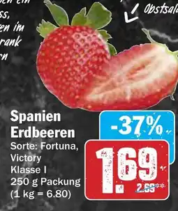 AEZ Spanien Erdbeeren Angebot