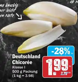 AEZ Deutschland Chicorée Angebot